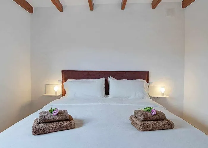 فيلة Morritos لاجاريس